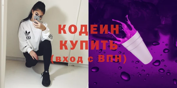 шишки Арсеньев