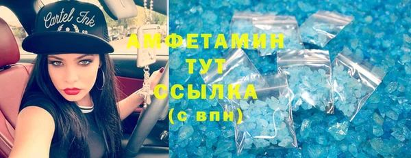 шишки Арсеньев