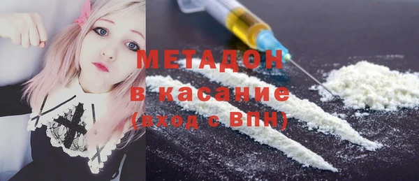 шишки Арсеньев