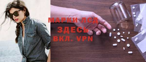 шишки Арсеньев